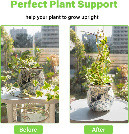 3PCS Yohsnor DNA Plant Trellis Indoor and Outdoor - Lightweight Metal Trellis for Potted Plants, Hoya & Pothos Climbing