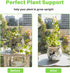 3PCS Yohsnor DNA Plant Trellis Indoor and Outdoor - Lightweight Metal Trellis for Potted Plants, Hoya & Pothos Climbing