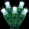 25ft 50 Counts White LED Christmas Lights - Commercial Grade Outdoor Waterproof,