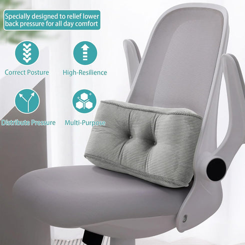 Lumbar Support Pillow for Office Chairs, Back Support Cushion for Lower Back Pain Relief, Small Grey