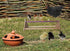 Vehomy Chicken Perch - Wooden Chicken Swing for Hens & Large Birds