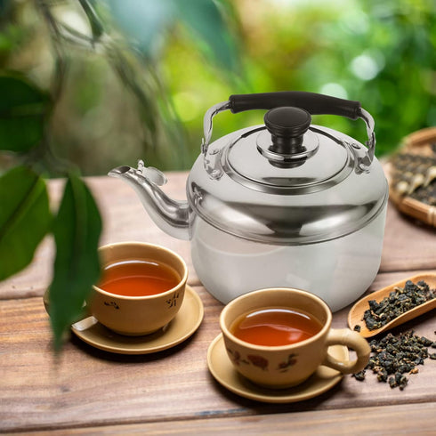 KALLORY 1pc Stainless Steel Teapot, Camping Water Kettle, Stainless Steel Tea Kettle for Stove Top