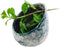 MGMGART Pottery Herb Stripper Bowl Multi Size Holes Ceramic Stripping Tool Decorative Leaf