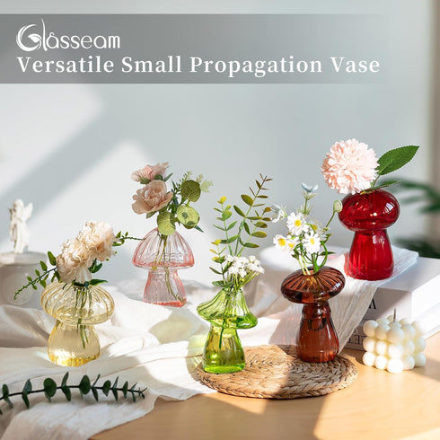 Set 5 Glasseam Mushroom Plant Propagation Stations: Cute Glass Terrarium Jar Propagation Vase of Hydroponic Planters