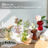 Set 5 Glasseam Mushroom Plant Propagation Stations: Cute Glass Terrarium Jar Propagation Vase of Hydroponic Planters
