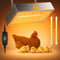 Chicken Coop Heater for Winter, Heat Lamp for Chickens 400W, Chicken Heater