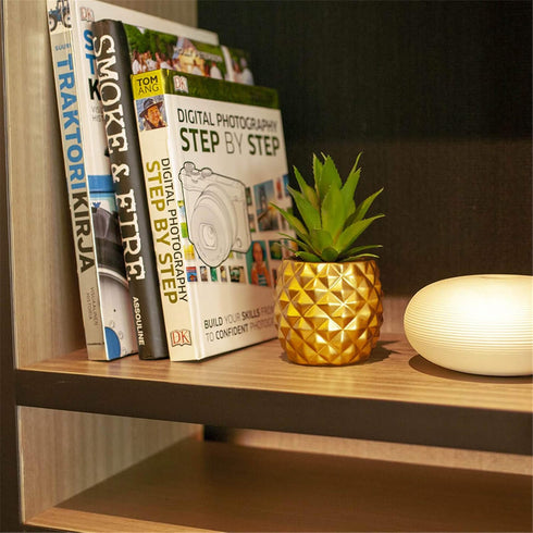 Artificial Succulent Potted Pineapple Decor, Fake Pineapple for Home Office Kitchen Table Decoration