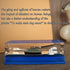 PTAEXCEL Unsinkable Boat in a Box, Unsinkable Cruise Ship Toy, Cruise Ship Fluid Drift Bottle, Cruise Ship Fluid Drift