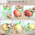 FENGWANGLI 3.86 Inch 8 Apple Peeler Corer Slicer, Orbital Pear Peeler, Manual Apple Cutter Tool In Slices for Potato