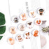 12 Pcs Glass Strong Animals Refrigerator Magnets, Decorative Magnets for Fridge Lovely Decor for Home Kitchen
