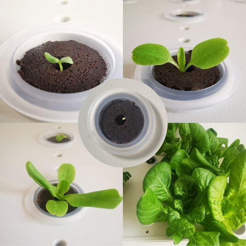 60 Pack, Grow Sponges Hydroponics Sponge Compatible with Aerogarden, iDOO