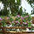 GTIDEA Artificial Vines - 2pcs 15Feet Morning Glory Hanging Plants, Silk Garland for Home Garden Decor