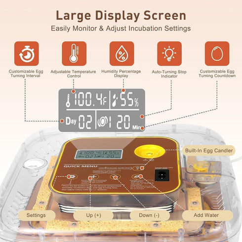 GleeGearNex 12 2026 360 Gen IV - Egg Fully Automatic Incubator, Upgraded Design, Intelligent Sensor-Based Humidity