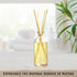 Urban Naturals Ocean Mist & Sea Salt Reed Diffuser Set, Decorative Air Freshener, Essential Oils & Botanicals
