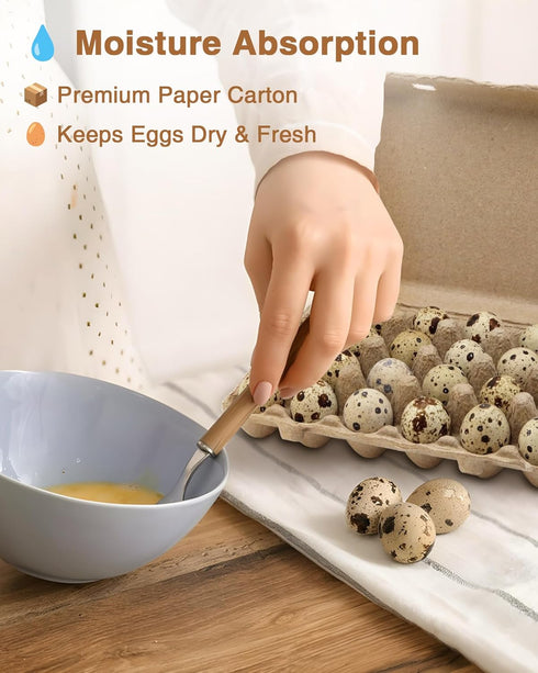WizzVac 24 50 Pack Grids Pulp Quail Egg Cartons - Paper Pulp Bulk Cartons for Quail Eggs with Stickers and a Pair
