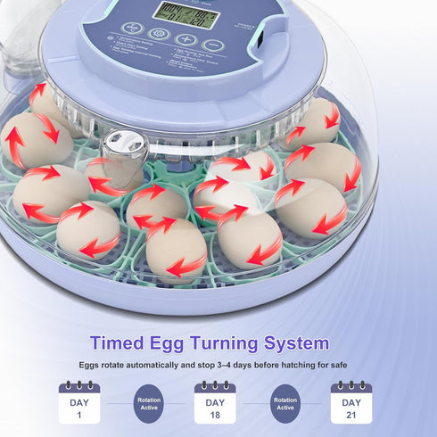 Cliseve 18 18 360 Egg Incubator for Hatching Chicks, Automatic Egg Turner Holds Eggs, Smart Incubator Clear Window