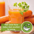 Packet (4) Sow Right Seeds - Kuroda Carrot Seeds for Planting - Non-GMO Heirloom with Instructions to Plant a Home