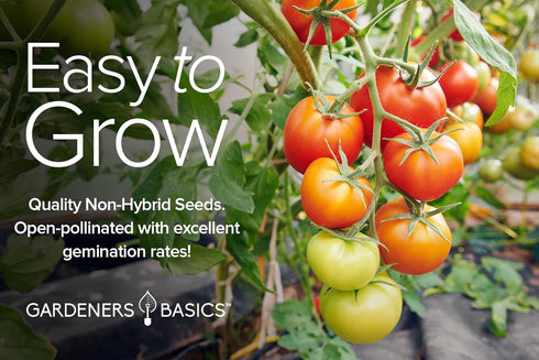 16 Pack Gardeners Basics, Tomato Seeds for Planting Variety Heirloom Tomato Seeds, Tiny Tim, Cherry Tomato Seeds