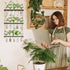 5 3 XXXFLOWER Wall Hanging Propagation Station with Wooden Stand Glass Test Tubes Tiered Planters Wall Terrarium