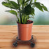 2 Pack 10.6 Inches KEILEOHO Metal Plant Caddy with Wheels, Heavy Duty Plant Caddy Stands, Rolling Plant Stand