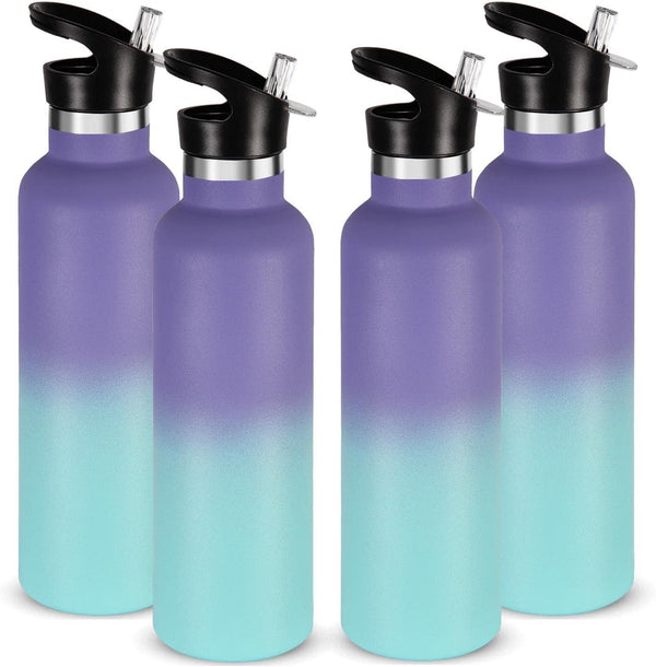 Neihepal 24oz Insulated Water Bottles Bulk 4 Pack, Stainless Steel Double Wall Sport Bottle with Straw Lid, Metal