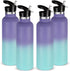 Neihepal 24oz Insulated Water Bottles Bulk 4 Pack, Stainless Steel Double Wall Sport Bottle with Straw Lid, Metal
