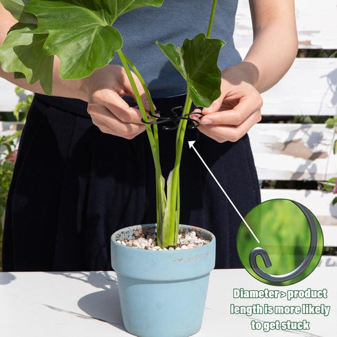 Set 2.75x2.75 inches 5 Yohsnor Monstera Plant Stem Support - Durable Fishbone Design Stabilizers for Indoor Climbing