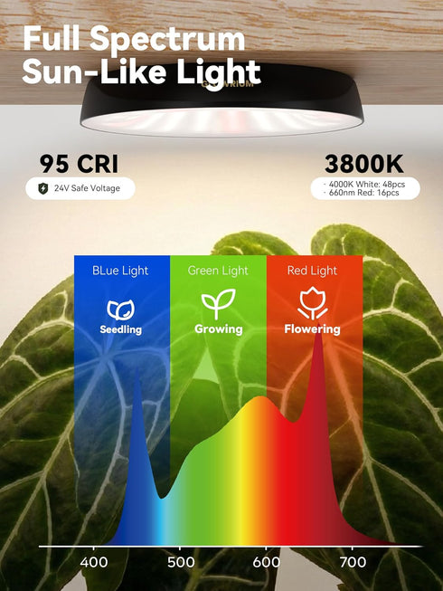 16W(2 8W) 10 Dimmable (2 Packs,Black) GLOWRIUM Grow Lights for Indoor Plants, Full Spectrum Puck Grow Light with Manual