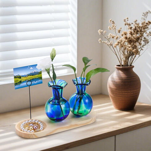 Pozfun 2 Bulb Hand Blown Glass Plant Propagation Stations Plant Terrarium Wooden Stand for Hydroponic Plants Combine