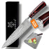 Japanese Chef Knife 8 Inch | Razor Sharp High Carbon Stainless Steel