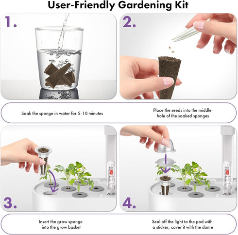 System,350 (12-Pods) LYKOCLEAN Salad Romaine Lettuce Seed Pods for AeroGarden,Ahopegarden, iDOO Hydroponics Growing