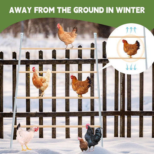 Accessories(55'' 41'' Wenqik Large Chicken Perch Chicken Roosting Bars for Coop Easy Installation Ladder for Backyard