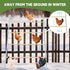 Accessories(55'' 41'' Wenqik Large Chicken Perch Chicken Roosting Bars for Coop Easy Installation Ladder for Backyard