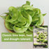 Packet Packed (1) Sow Right Seeds - Fordhook Lima Bush Bean Seeds for Planting - Non-GMO Heirloom with Instructions