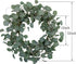 idyllic Eucalyptus Leaves Wreath, 22 Inches Round Green Metal Polyester Fabric Paper for Front Door Decor