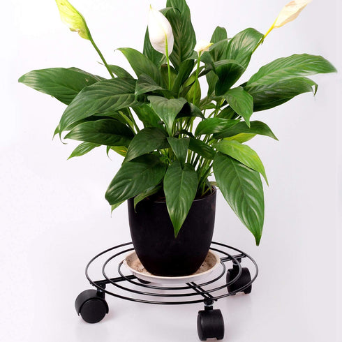 3 Packs 11.8 Inches Set KINJOEK Metal Plant Caddy Flower Pots Plant Stand with Lockable Wheels, Rolling Planter Mover