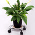 3 Packs 11.8 Inches Set KINJOEK Metal Plant Caddy Flower Pots Plant Stand with Lockable Wheels, Rolling Planter Mover