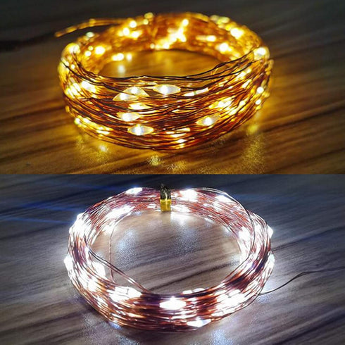 Fidt 9ft 30 LED USB String Lights - Silver Wire Fairy Lights for Wedding, Party, Christmas & Festival Decorations