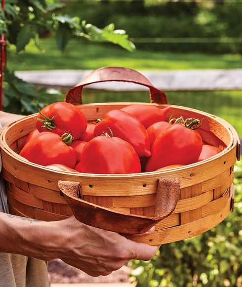 50 Burpee 'Big Mama' Hybrid, Large Red Paste Tomato, Non-GMO Seeds