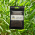 Generic 600 (30g) Seeds Kangkong Seeds - Rau Muong - Ong Choy - Morning Glory - Chinese Water Spinach Seeds | Non-GMO |