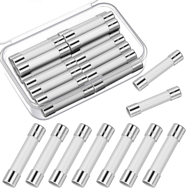 Frienda Microwave Fuse 20 Amp Slow Blow Ceramic Tube Fuse 250V, Compatible with GE WB27X10388 (10 Pieces)