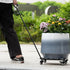 12Inch 200lb Heavy Duty Plant Caddy with Wheels - Weight Capacity - Steel Rolling Plant Stand for Indoor and Outdoor