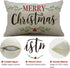 DFXSZ Merry Christmas Pillow Covers, Holly Berries Lumbar Pillowcase 12x20 Inch for Home Decoration