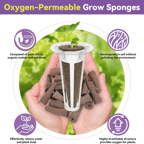 400+ Seeds(7-Pods) LYKOCLEAN Red Romaine Lettuce Seed Pods for AeroGarden, Ahopegarden, iDOO Hydroponics Growing System