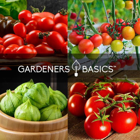 8 Tomato Growing Kit Grow Varieties of Delicious Tomatoes Non-GMO Heirloom Seeds, Complete Indoor & Outdoor Tomato Seed