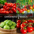 8 Tomato Growing Kit Grow Varieties of Delicious Tomatoes Non-GMO Heirloom Seeds, Complete Indoor & Outdoor Tomato Seed