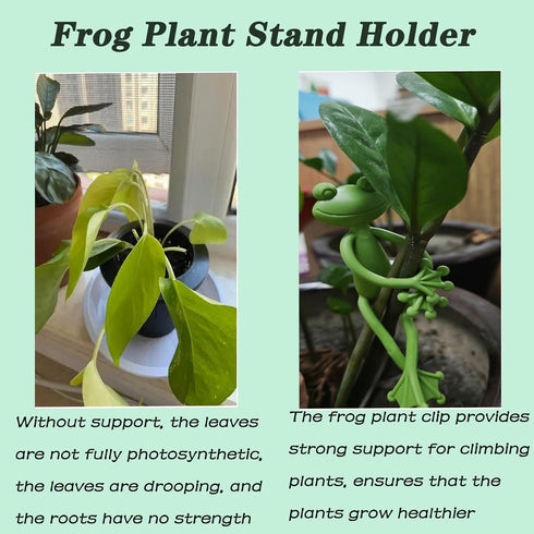 YVPSI 6pcs Frog Plant Stand Holder Support Frog Plant Holder Plant Propagation Buddy Climbing Fixture Clips Garden