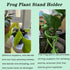 YVPSI 6pcs Frog Plant Stand Holder Support Frog Plant Holder Plant Propagation Buddy Climbing Fixture Clips Garden