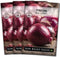 Sow Right Seeds - Red Creole Onion Seeds for Planting - Non-GMO