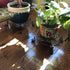 2 Pack 12"x3.1" Black Plant Stand for Flower Pot Heavy Duty Potted Holder Indoor Outdoor Metal Rustproof Iron Garden